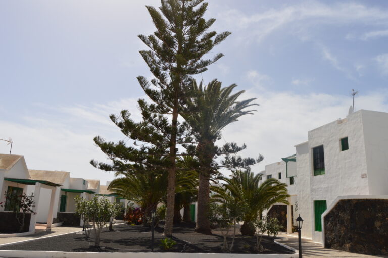 Outdoor common area at San Fermín holiday apartment complex in Lanzarote